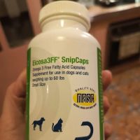 Dechra Veterinary Products ico