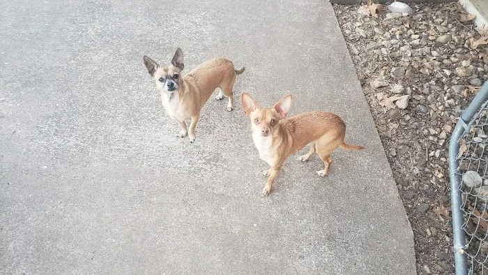Topeka Veterinary Hospital Picture 8