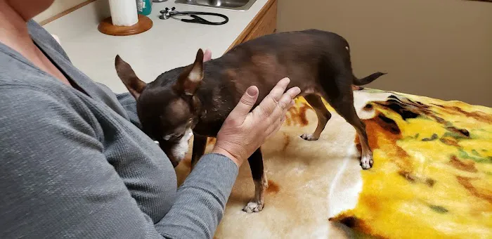 Topeka Veterinary Hospital Picture 9