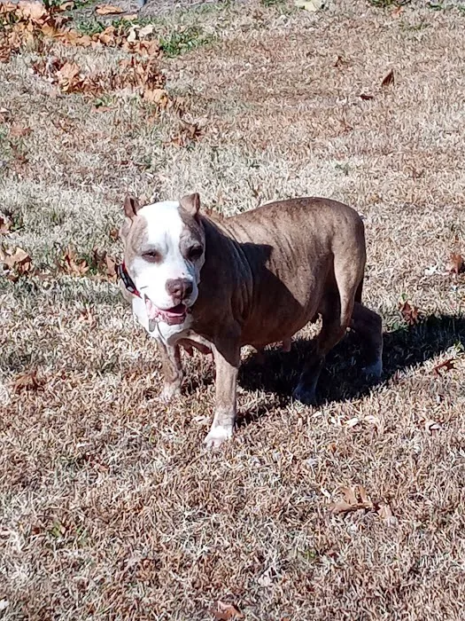 Rossville Veterinary Clinic Picture 1