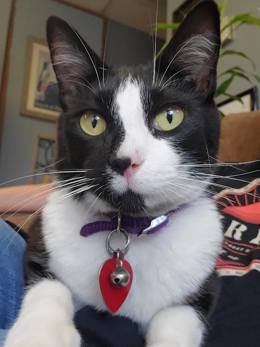 Beuerlein Joe DVM Picture 2