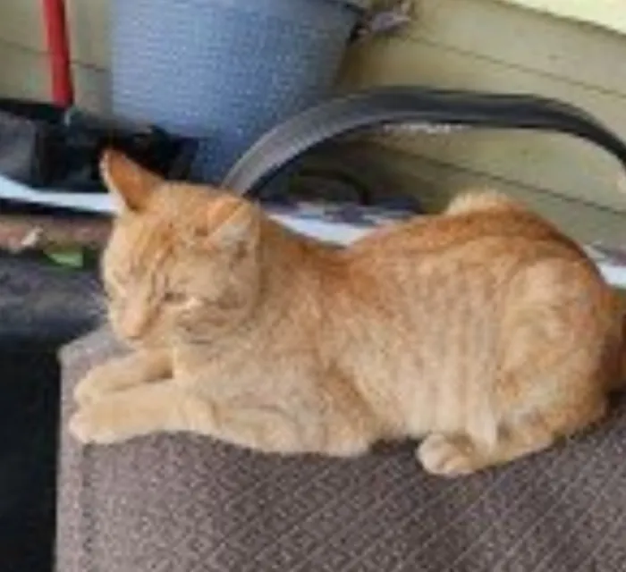 Beuerlein Joe DVM Picture 4