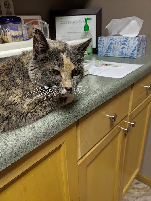 Heartland Veterinary Health Center Picture 3