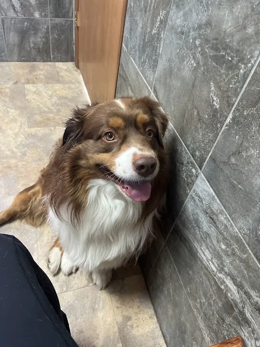 Heartland Veterinary Health Center Picture 1