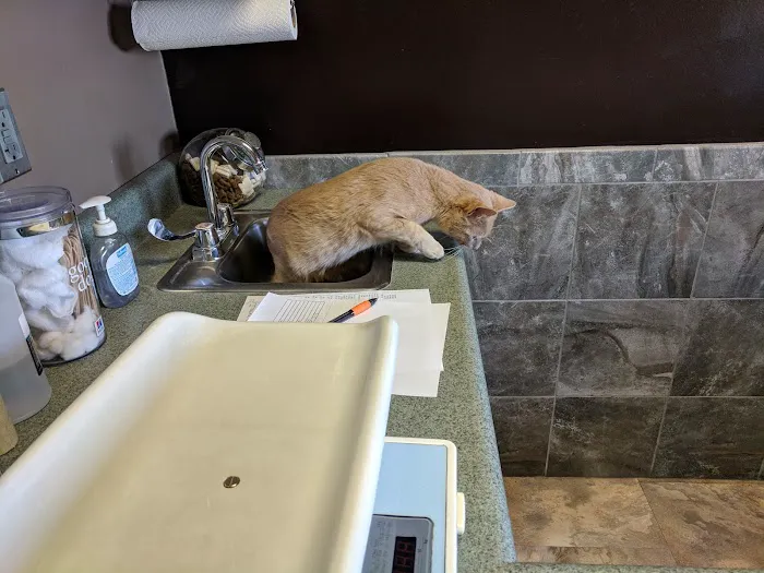 Heartland Veterinary Health Center Picture 4