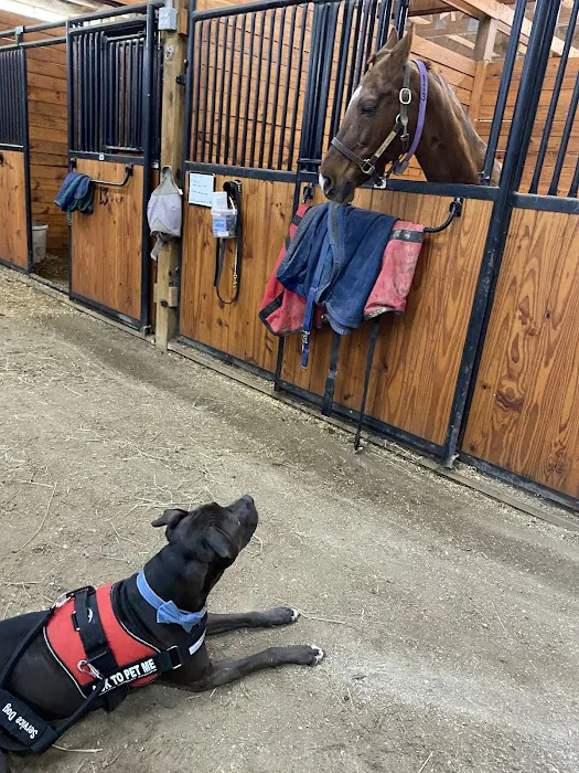 Kansas Center for Equine Reproduction Picture 3