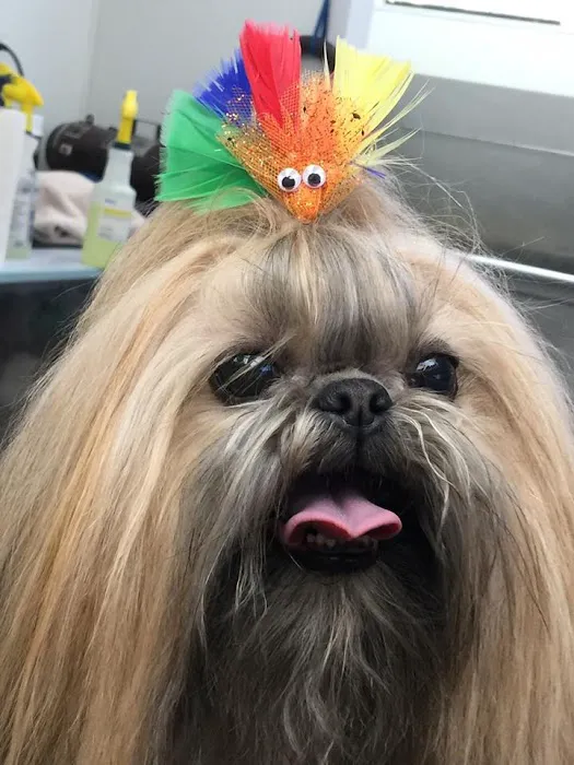 Oxford Animal Hospital, A Thrive Pet Healthcare Partner Picture 5