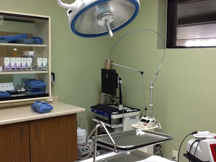 Oxford Animal Hospital, A Thrive Pet Healthcare Partner Picture 9