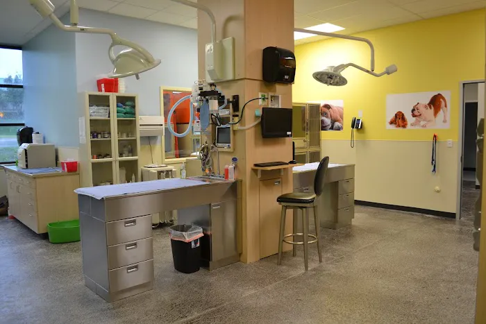 Two Dogs and A Cat Pet Club Picture 8