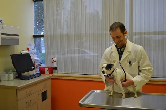 Two Dogs and A Cat Pet Club Picture 9