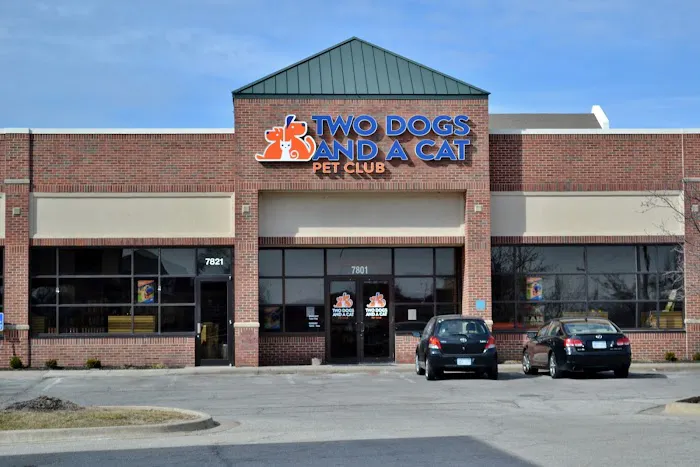 Two Dogs and A Cat Pet Club Picture 10