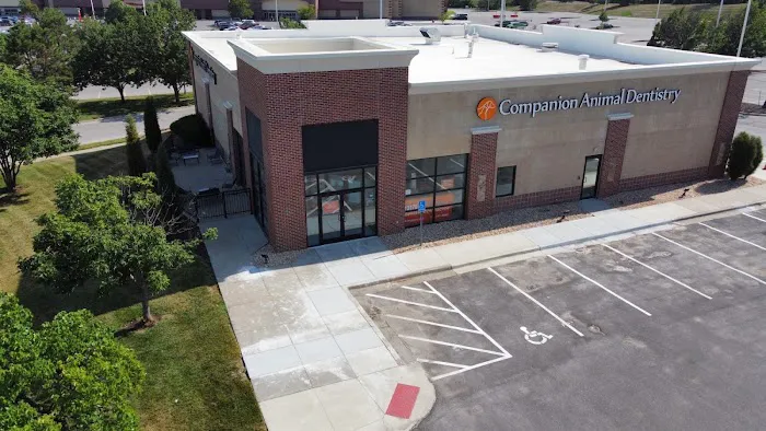 Companion Animal Dentistry Picture 9