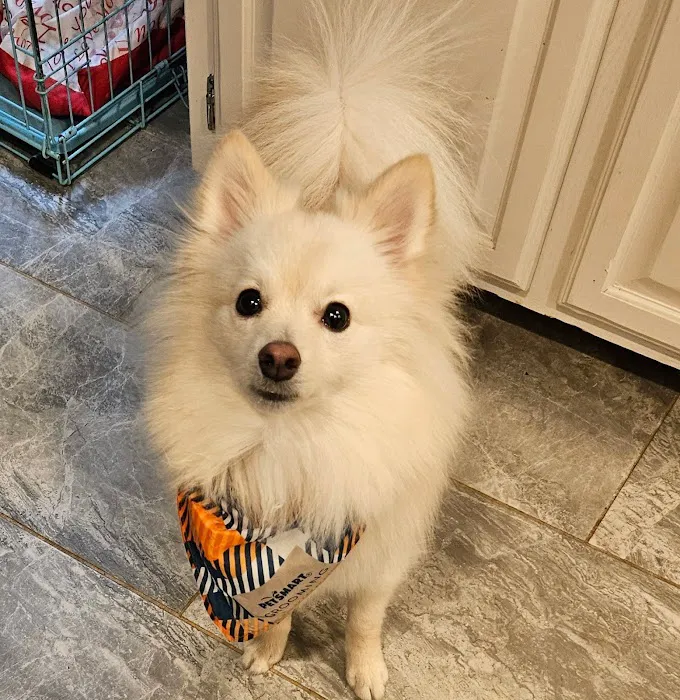 Banfield Pet Hospital Picture 1