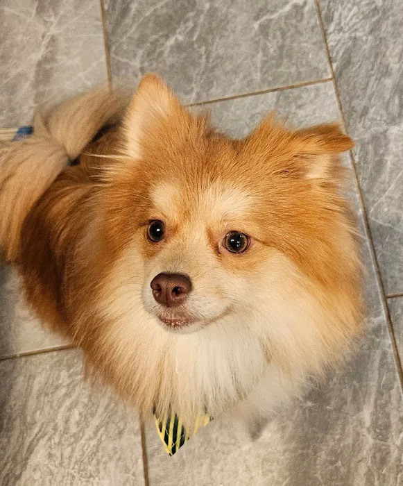 Banfield Pet Hospital Picture 3