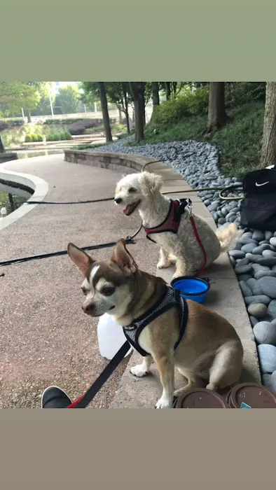 Banfield Pet Hospital Picture 2