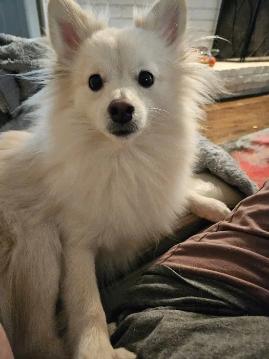 Banfield Pet Hospital Picture 7