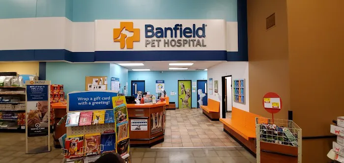 Banfield Pet Hospital Picture 6