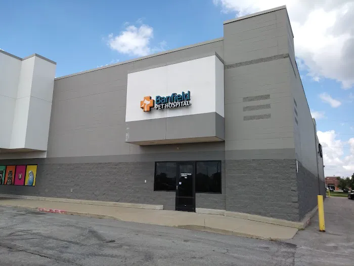 Banfield Pet Hospital Picture 9