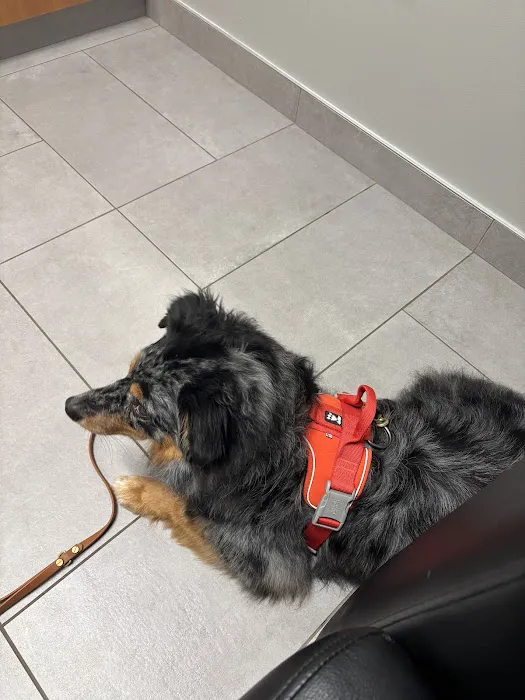 VEG ER for Pets Picture 2