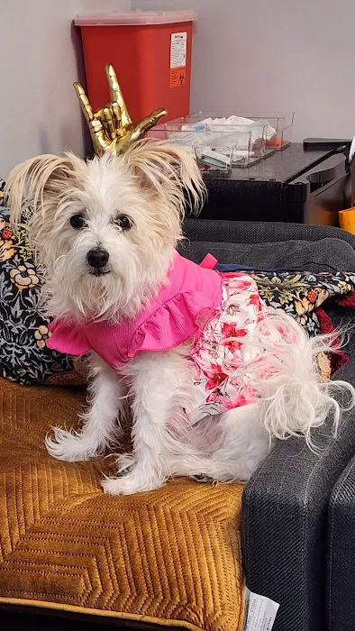 VEG ER for Pets Picture 5