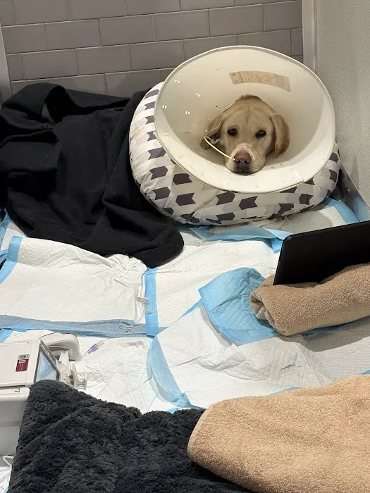 VEG ER for Pets Picture 8