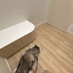 Petfolk Veterinary & Urgent Care - Overland Park