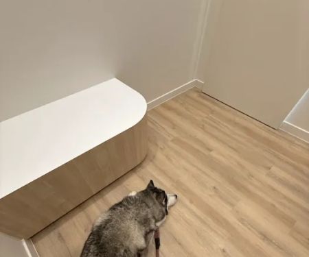 Petfolk Veterinary & Urgent Care - Overland Park