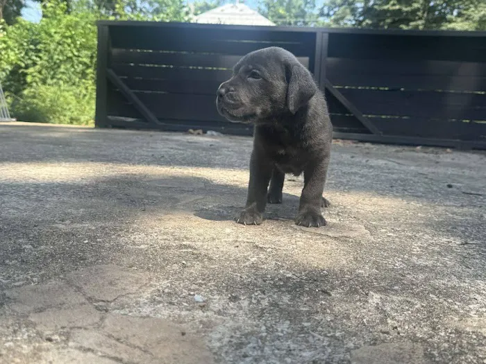 Petfolk Veterinary & Urgent Care - Overland Park Picture 2