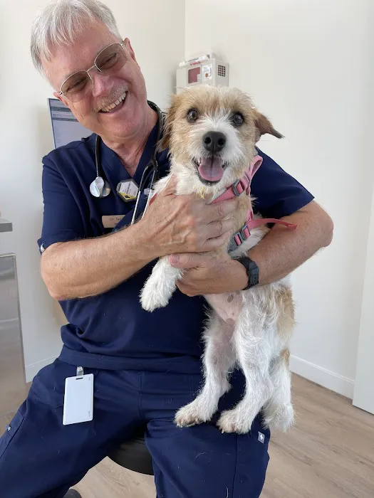 Petfolk Veterinary & Urgent Care - Overland Park Picture 5