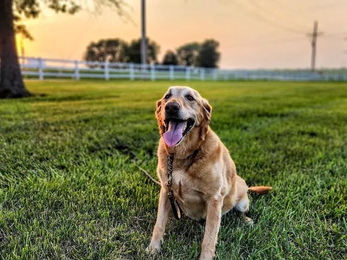 Red Oak Animal Hospital Picture 5