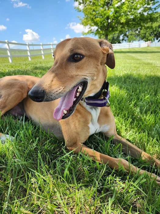 Red Oak Animal Hospital Picture 6