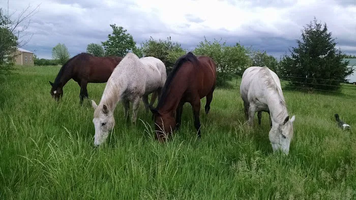 Red Oak Animal Hospital Picture 4