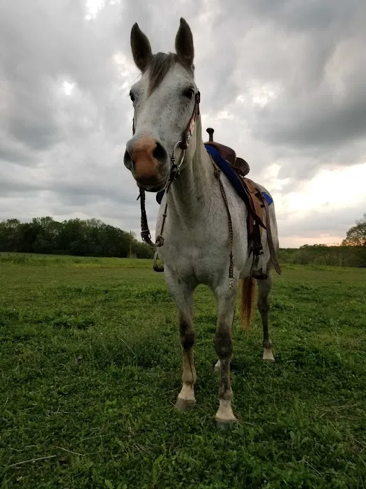 Red Oak Animal Hospital Picture 9