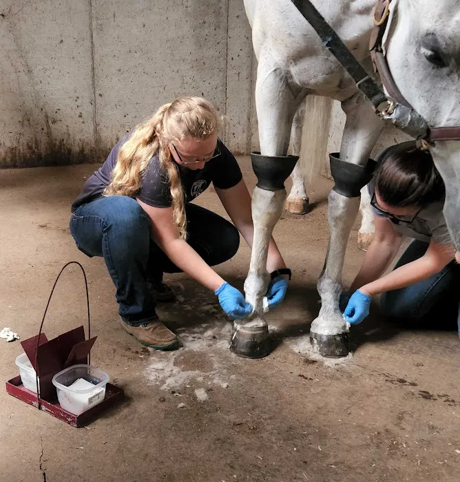 Red Oak Animal Hospital Picture 10