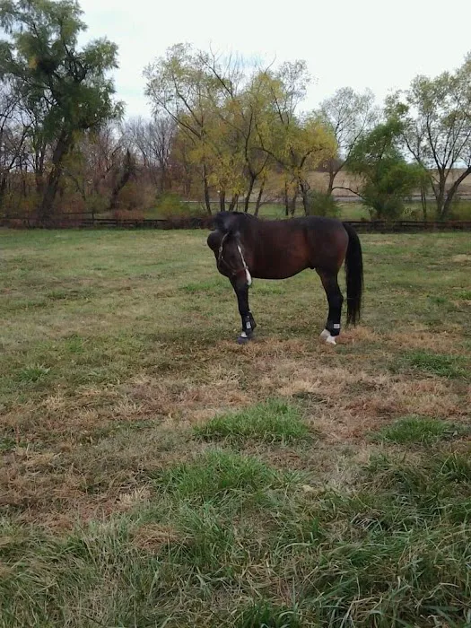 Stilwell Animal Hospital Picture 2