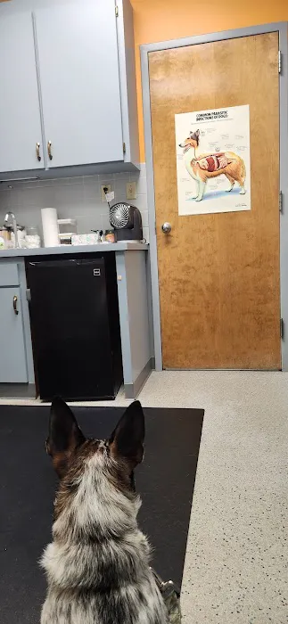 Stilwell Animal Hospital Picture 5