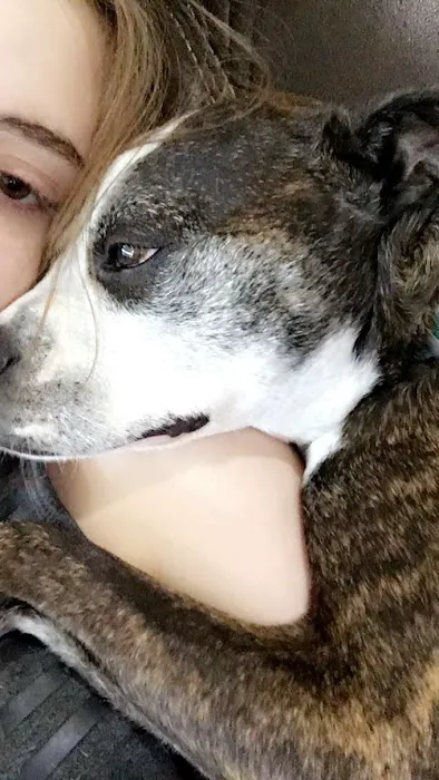 Stilwell Animal Hospital Picture 10