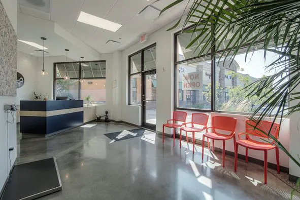 Animal Health Center of Leawood Picture 2