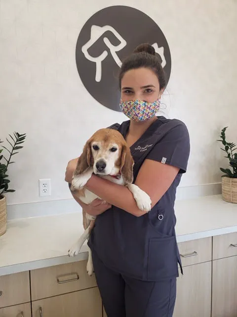 Animal Health Center of Leawood Picture 3