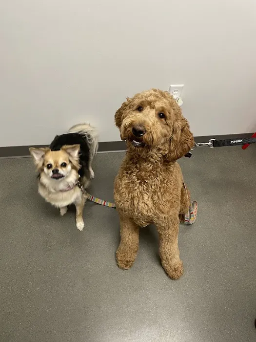 Animal Health Center of Leawood Picture 10