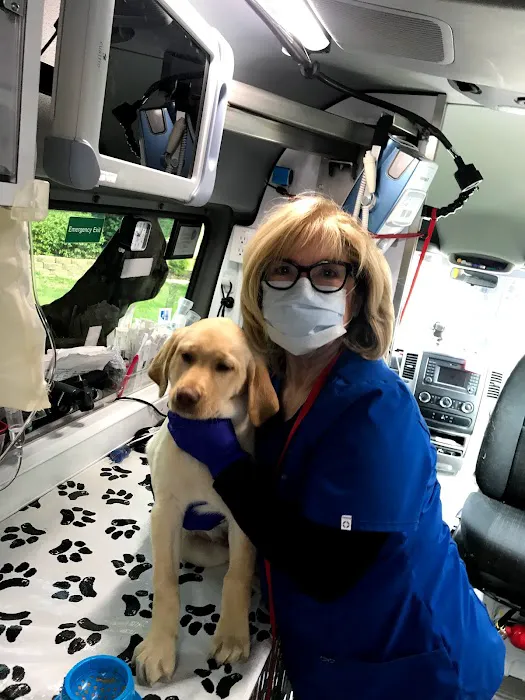 Neighborhood Vets Mobile Care Picture 10