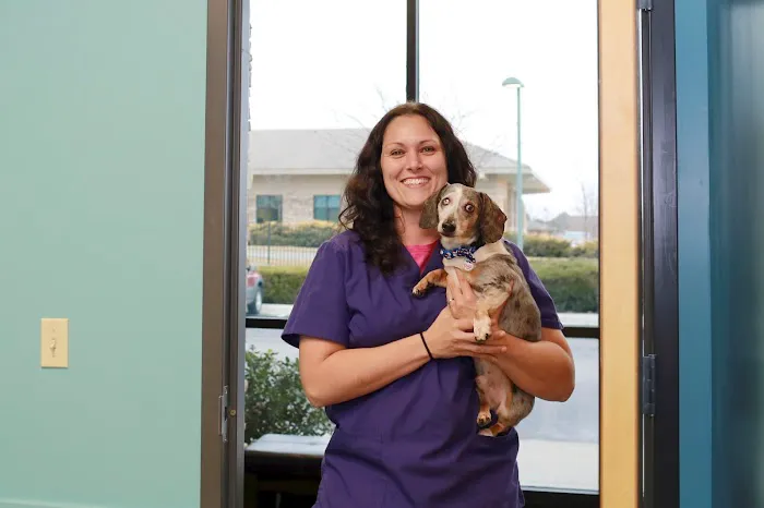 Ironhorse Veterinary Care Picture 4
