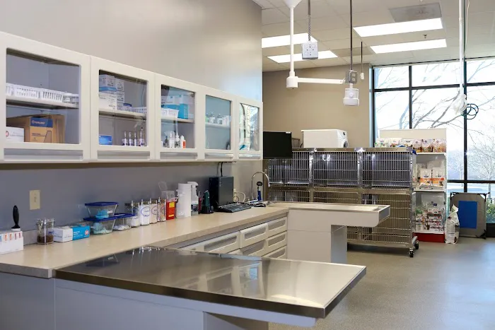 Ironhorse Veterinary Care Picture 1