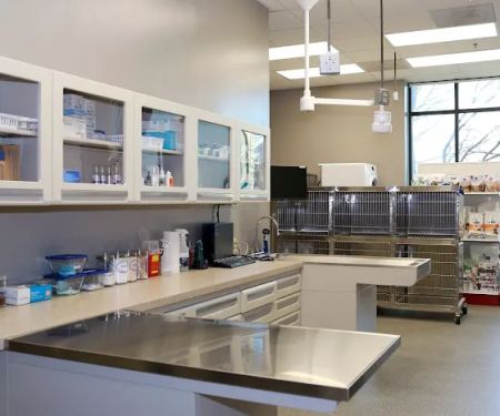 Ironhorse Veterinary Care