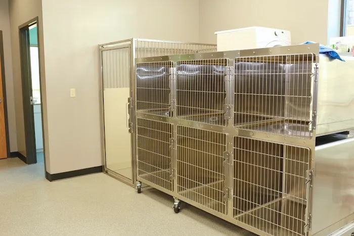 Ironhorse Veterinary Care Picture 5