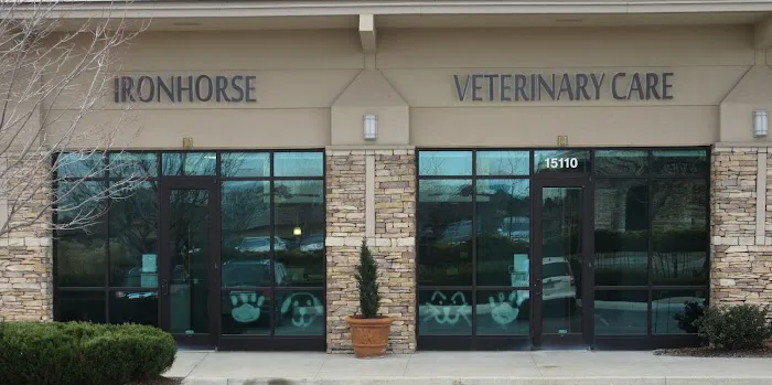 Ironhorse Veterinary Care Picture 10