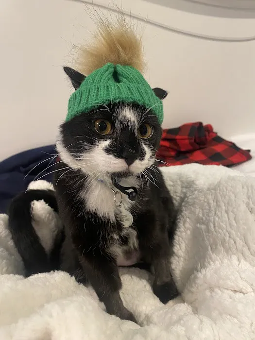 Vetco Total Care Animal Hospital Picture 2