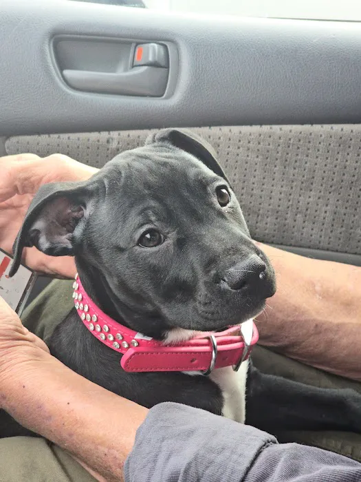 Vetco Total Care Animal Hospital Picture 1