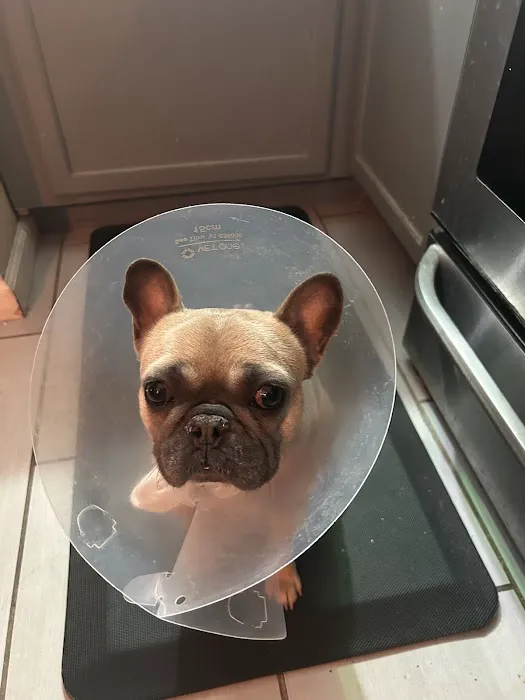 Vetco Total Care Animal Hospital Picture 6