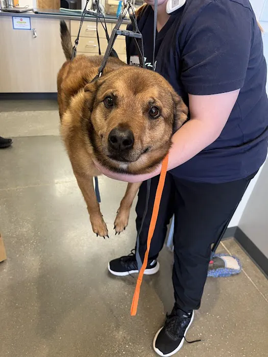 Vetco Total Care Animal Hospital Picture 7